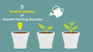 5 Great Examples of Growth Hacking Success